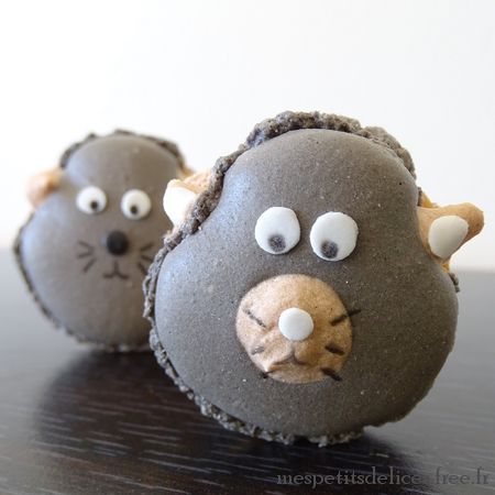 macarons chats